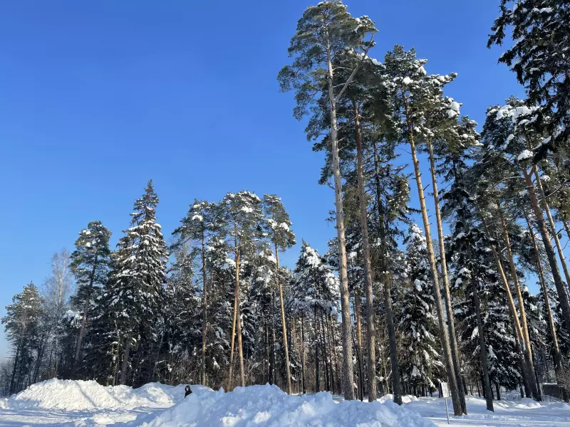 Чайная беседка