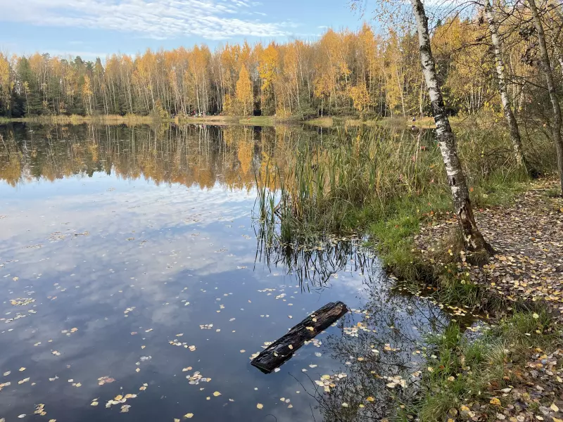 Чайная беседка