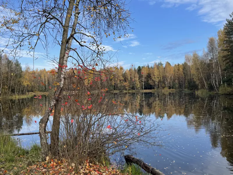 Чайная беседка