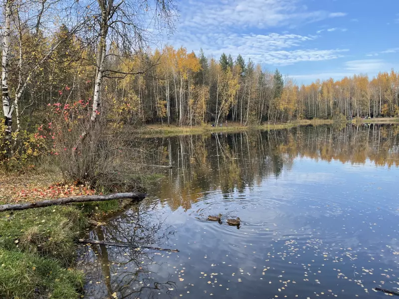 Чайная беседка