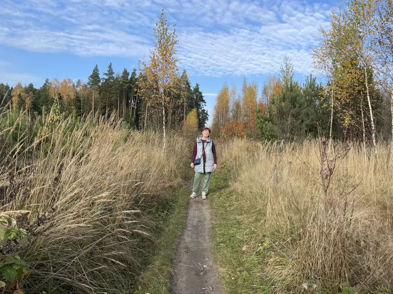 Чайная беседка