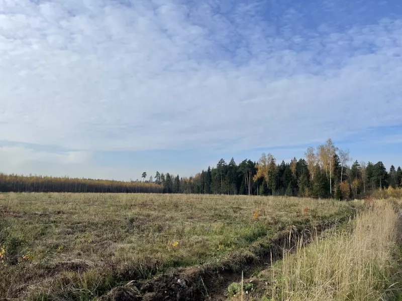 Чайная беседка
