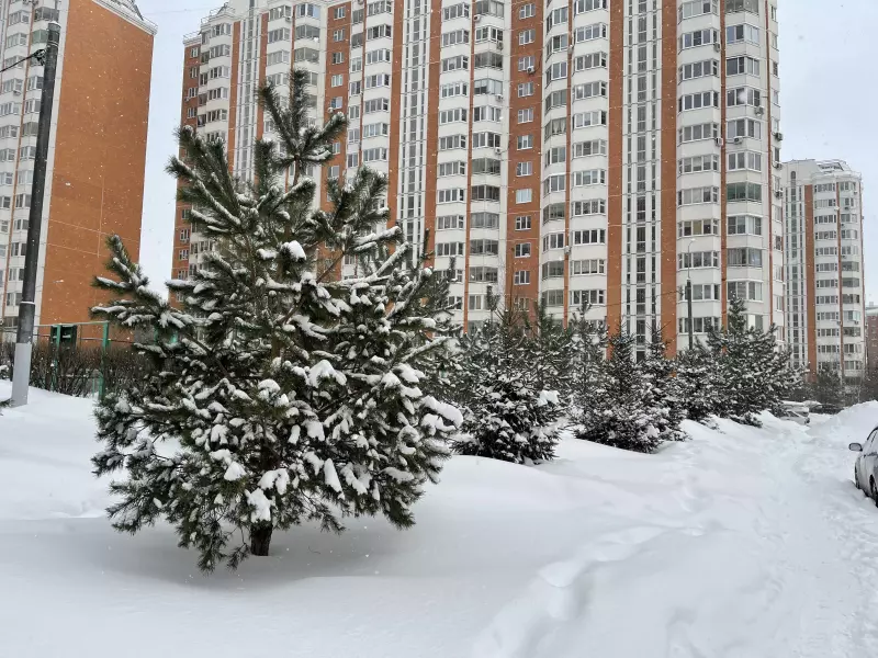 Чайная беседка