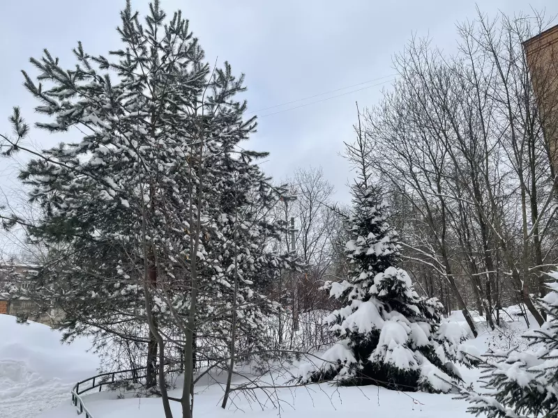 Чайная беседка