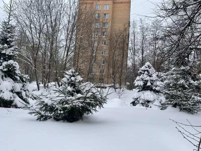 Чайная беседка