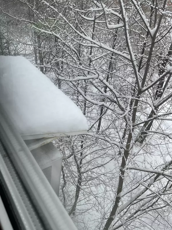 Чайная беседка