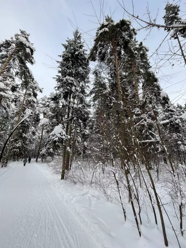 Чайная беседка