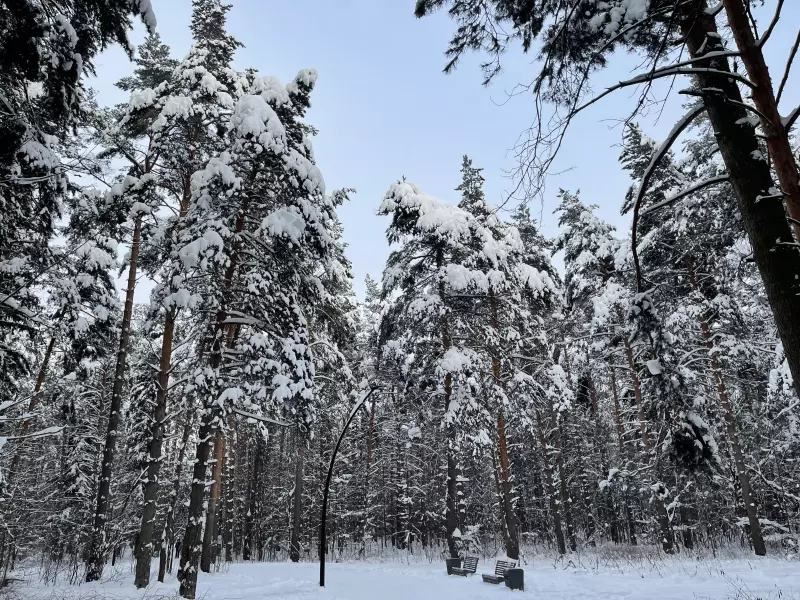 Чайная беседка