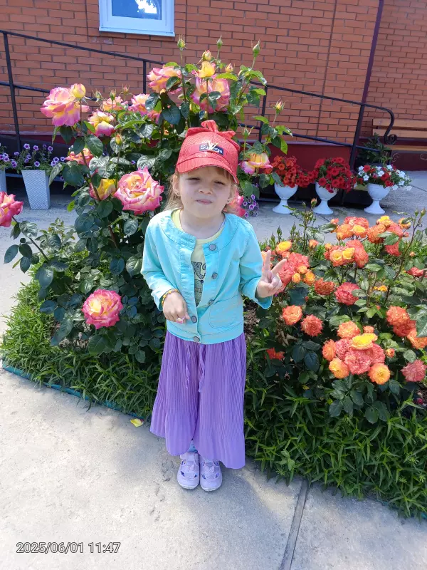 Чайная беседка