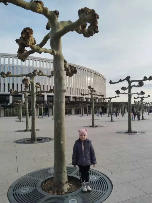 Чайная беседка