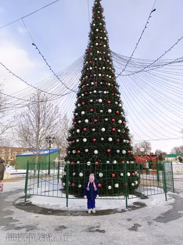 Чайная беседка