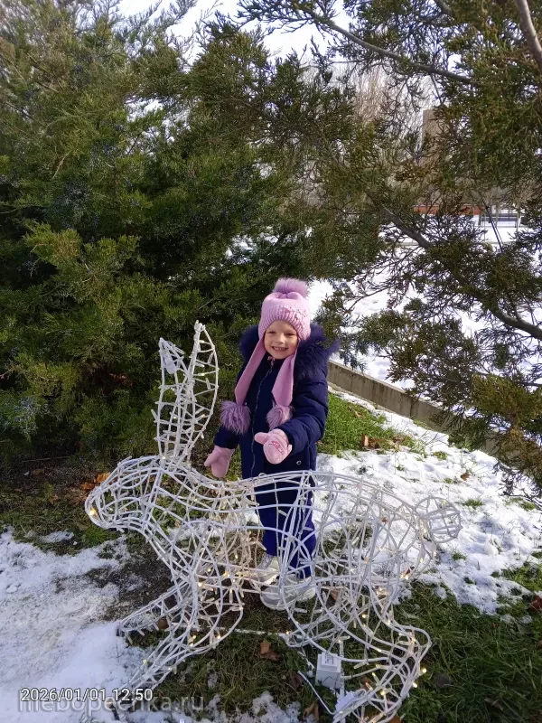 Чайная беседка