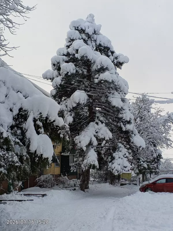 Чайная беседка