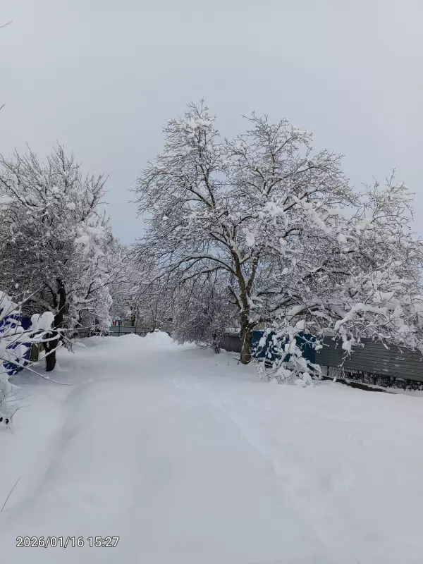 Чайная беседка