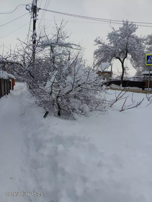 Чайная беседка