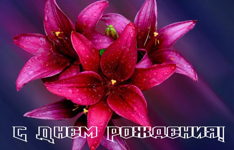 Tapтaлeтки & Ко