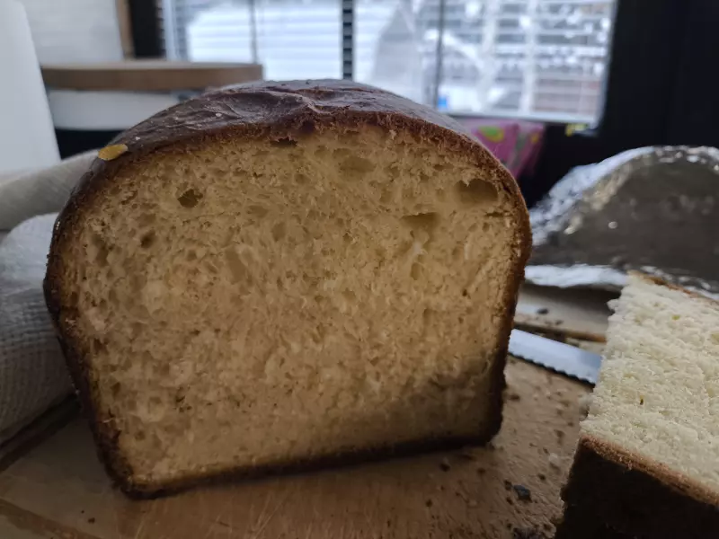 Бриошь в хлебопечке Panasonic SD-YR2550 (+видео)