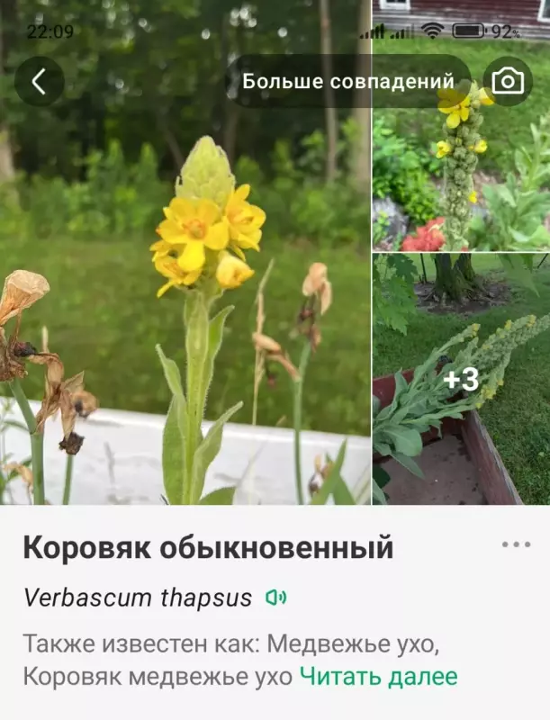Загородная жизнь - обустройство на земле во всем разнообразии