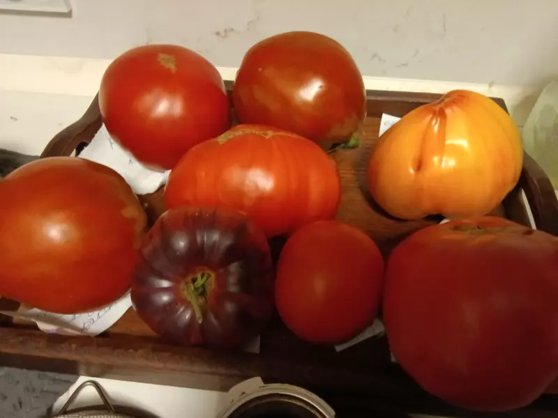 Загородная жизнь - обустройство на земле во всем разнообразии