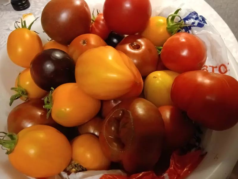 Загородная жизнь - обустройство на земле во всем разнообразии