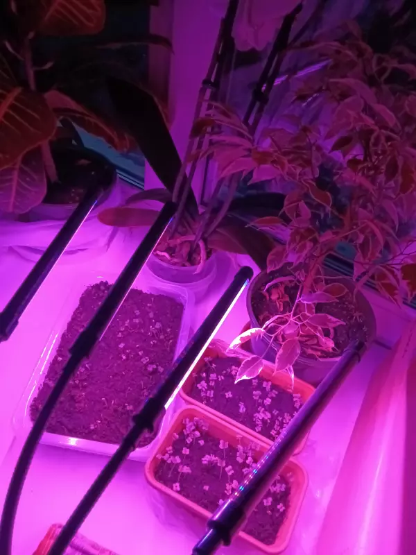 Загородная жизнь - обустройство на земле во всем разнообразии