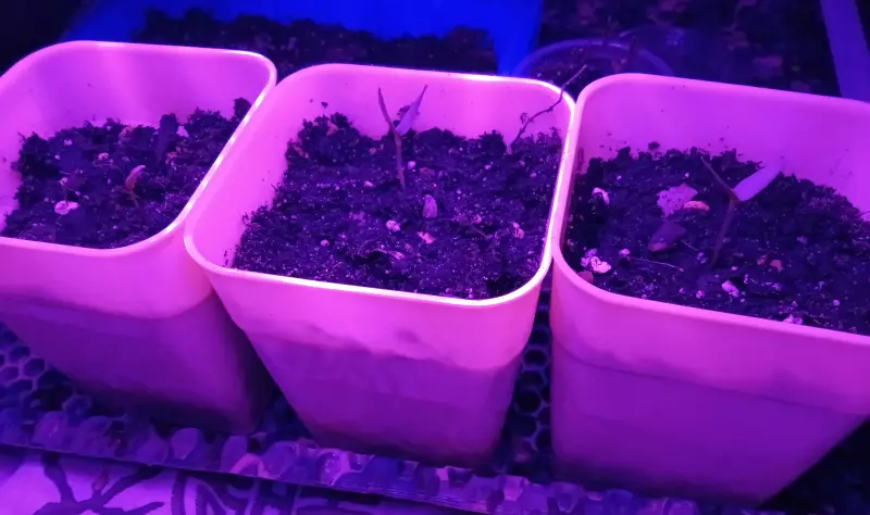 Загородная жизнь - обустройство на земле во всем разнообразии