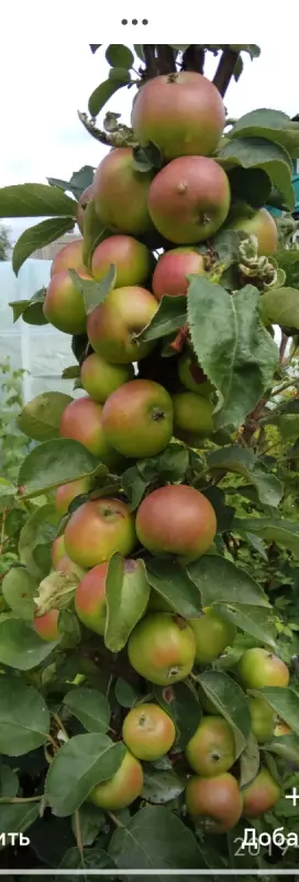 Загородная жизнь - обустройство на земле во всем разнообразии