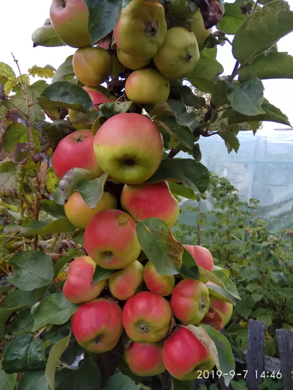 Загородная жизнь - обустройство на земле во всем разнообразии