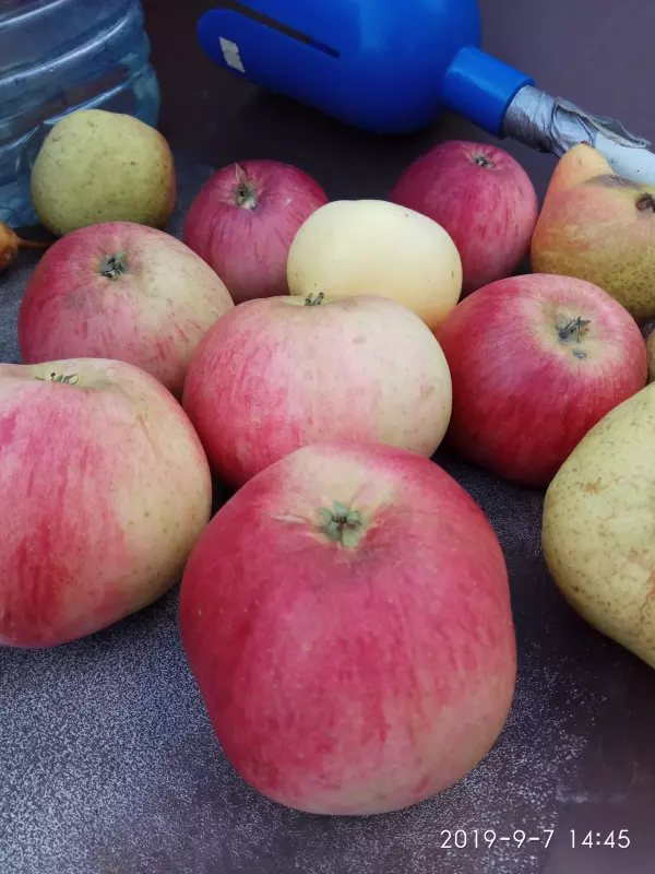 Загородная жизнь - обустройство на земле во всем разнообразии