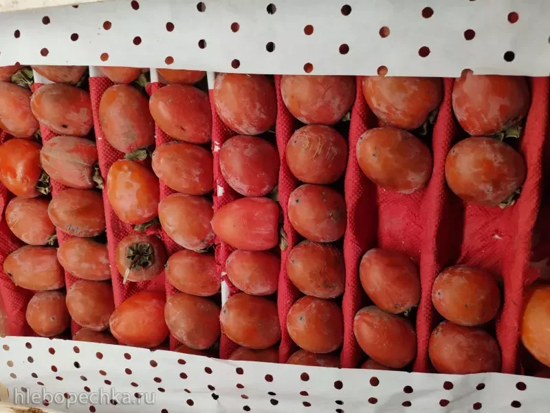 Фуд Сити в Москве