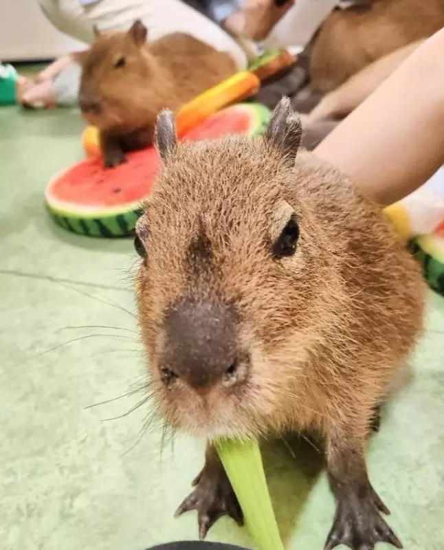 Выходные в Питере, или Куда сходить с друзьями в Санкт-Петербурге