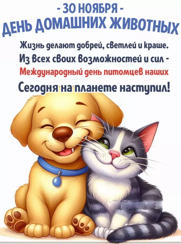 Человек собаке друг!!!