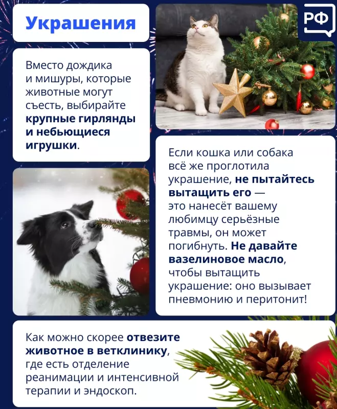 Кто сказал "Мяу"?