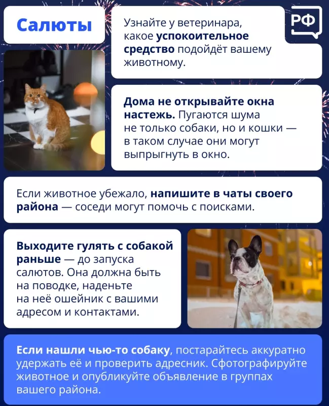 Кто сказал "Мяу"?