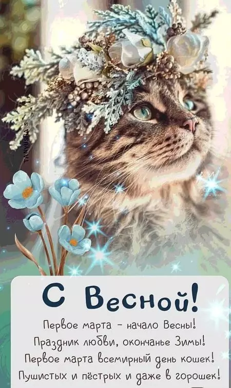 Кто сказал "Мяу"?