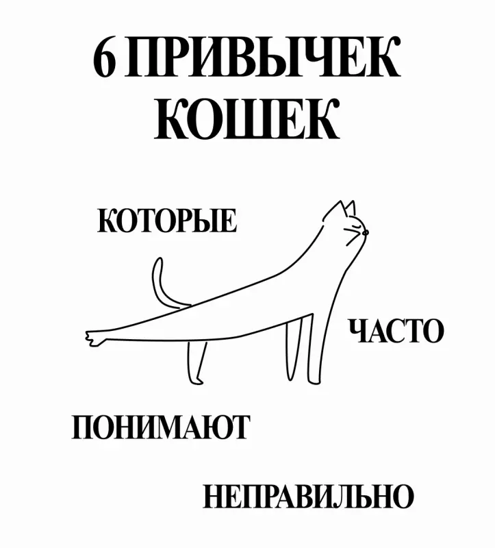 Кто сказал "Мяу"?