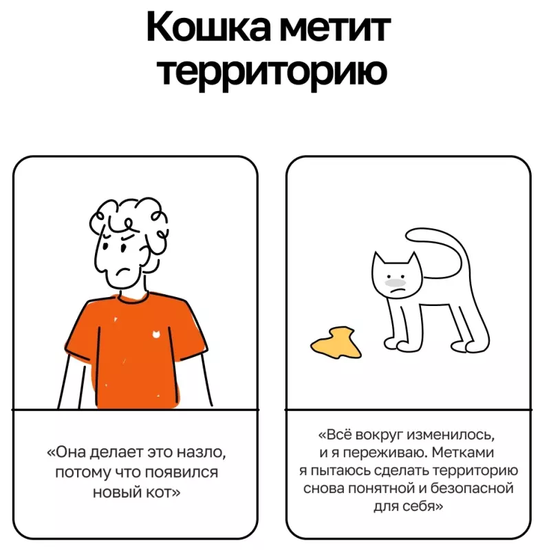 Кто сказал "Мяу"?