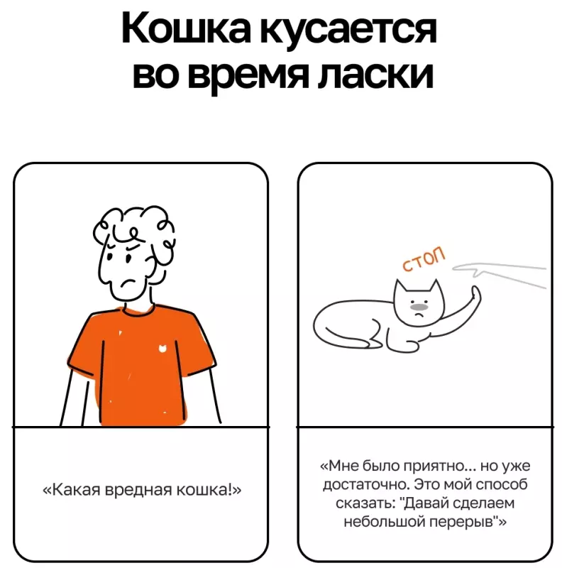 Кто сказал "Мяу"?
