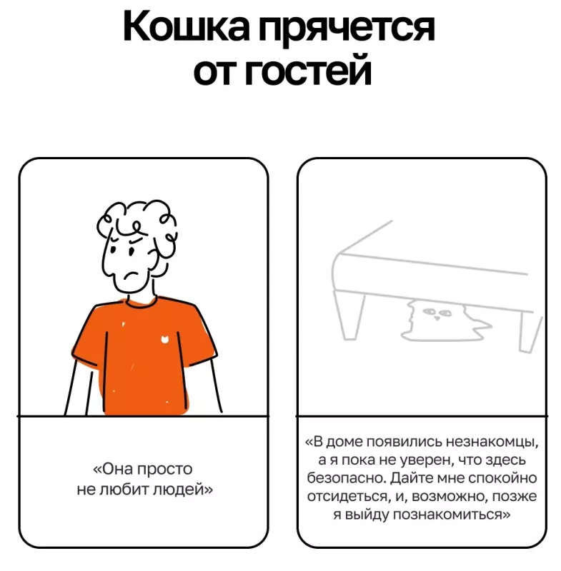 Кто сказал "Мяу"?