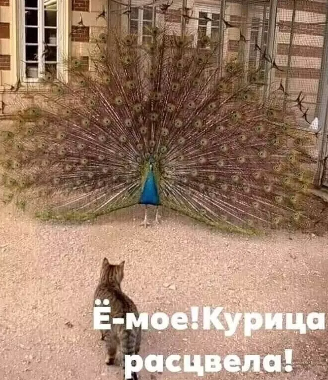Посмеялся сам - поделись с другом!!!
