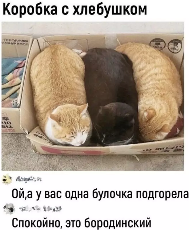 Посмеялся сам - поделись с другом!!!