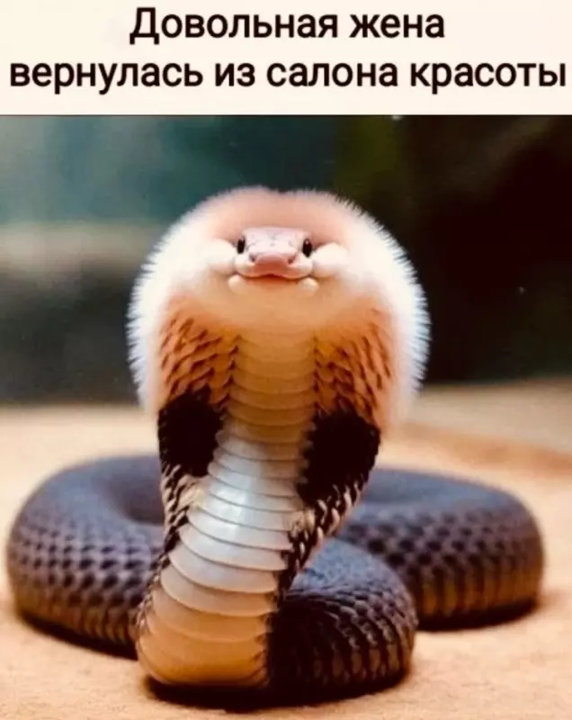 Посмеялся сам - поделись с другом!!!