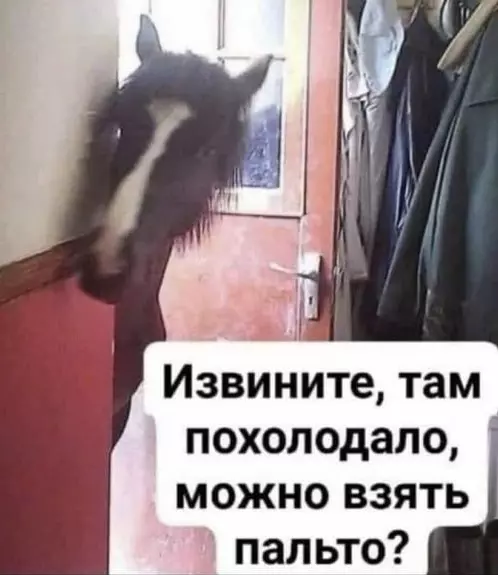 Посмеялся сам - поделись с другом!!!