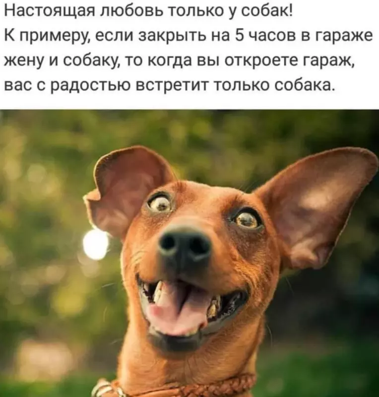 Посмеялся сам - поделись с другом!!!