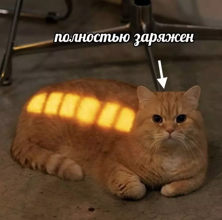 Посмеялся сам - поделись с другом!!!