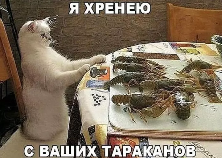 Посмеялся сам - поделись с другом!!!