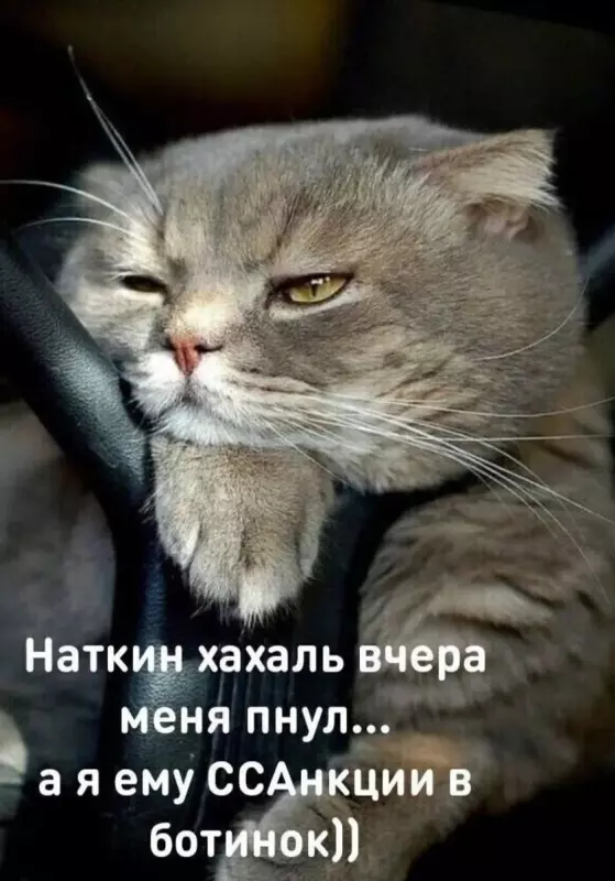 Посмеялся сам - поделись с другом!!!