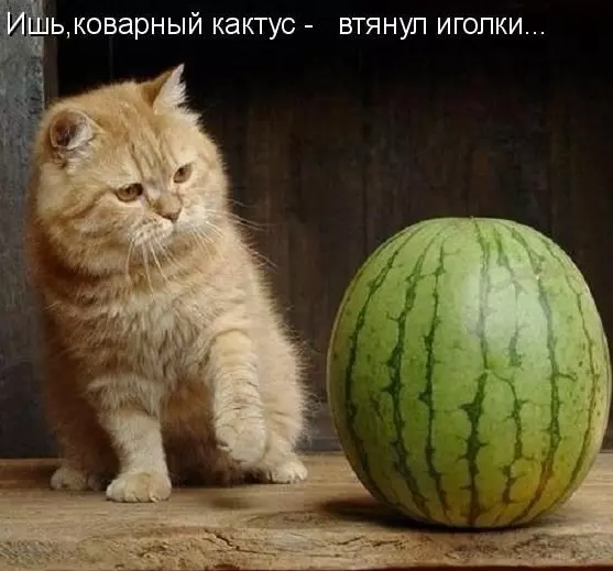 Посмеялся сам - поделись с другом!!!