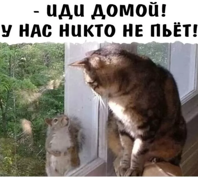 Посмеялся сам - поделись с другом!!!