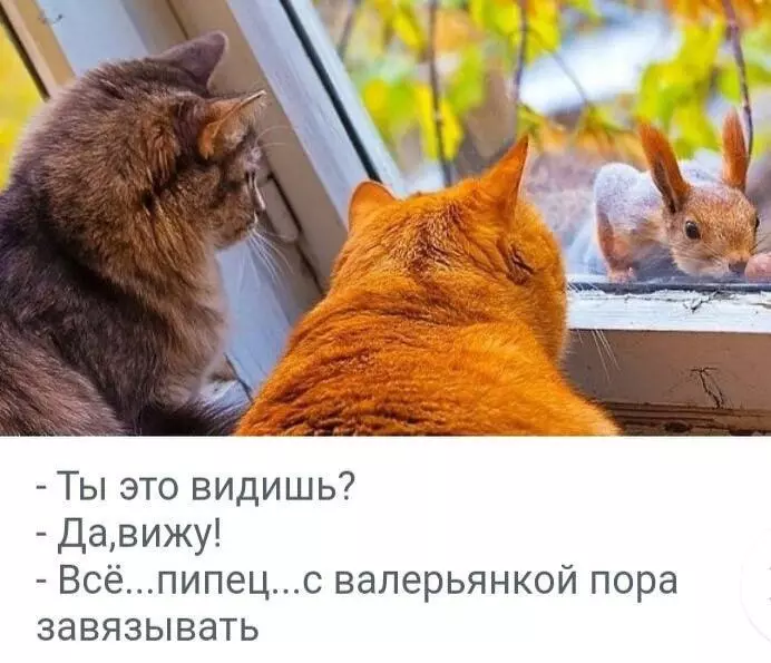 Посмеялся сам - поделись с другом!!!